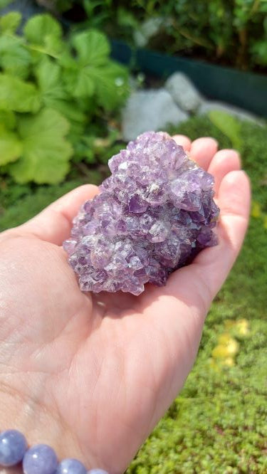 Amethyst cluster