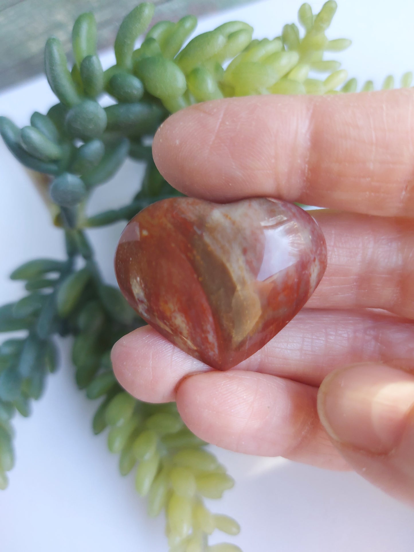 petrified stone heart
