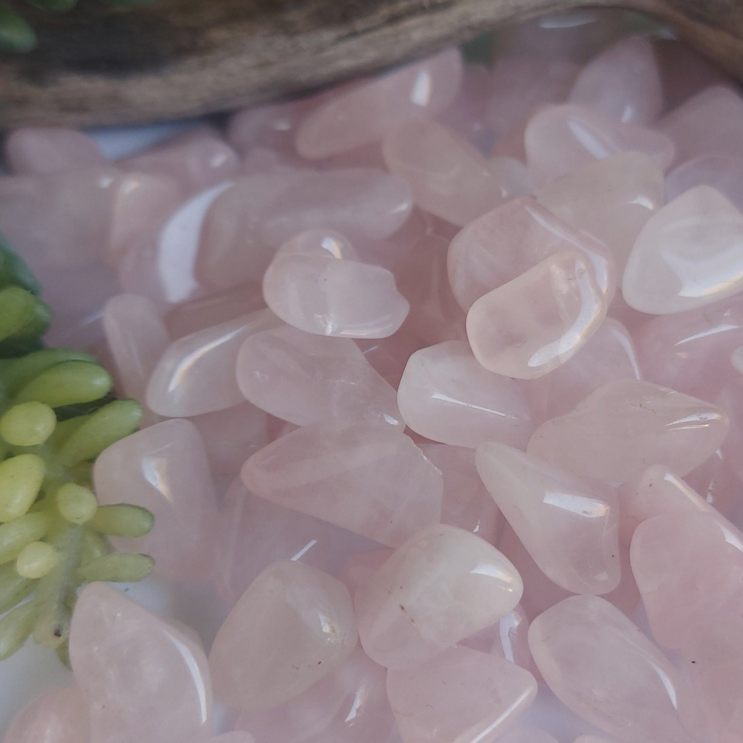 tumbled rose quartz gemstone