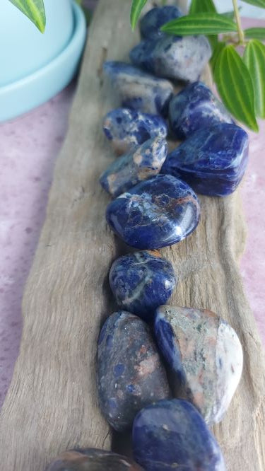 tumbled sodalite gemstones