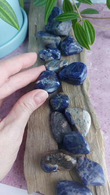 tumbled sodalite gemstones