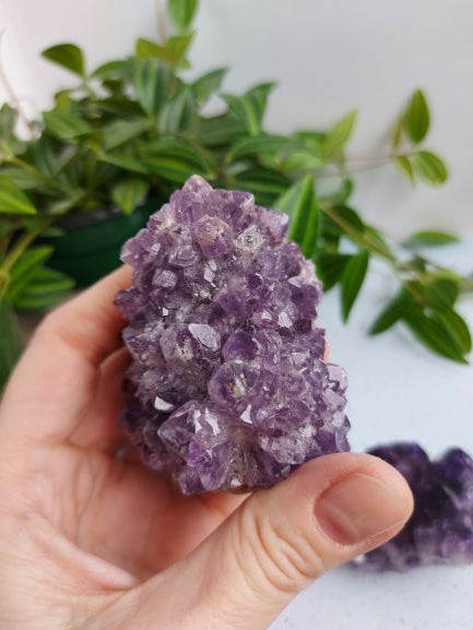 amethyst geode mini teeth cluster
