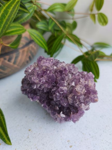 amethyst geode mini teeth cluster