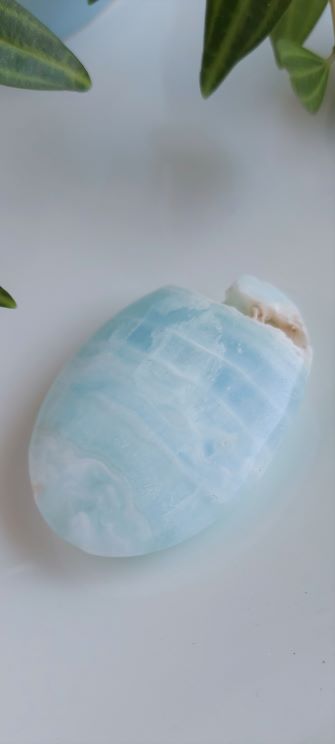 Caribbean calcite palm stone