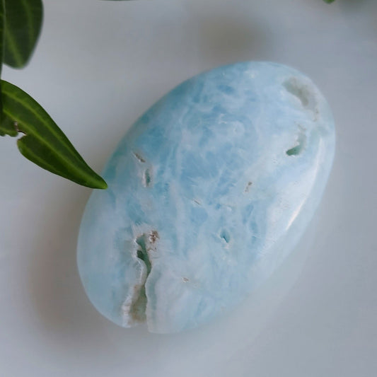 caribbean calcite palm stone