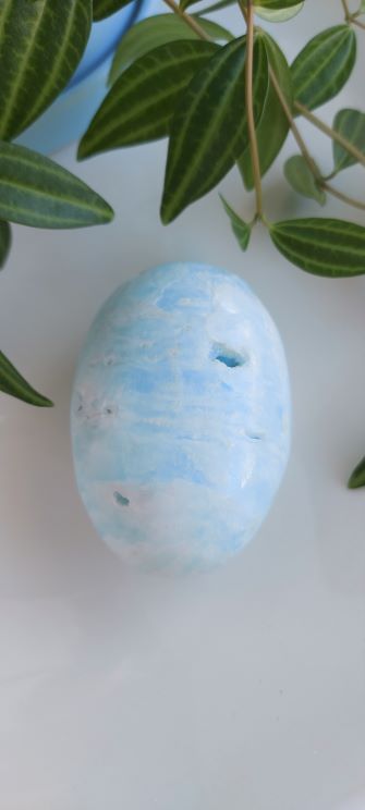 caribbean calcite palm stone