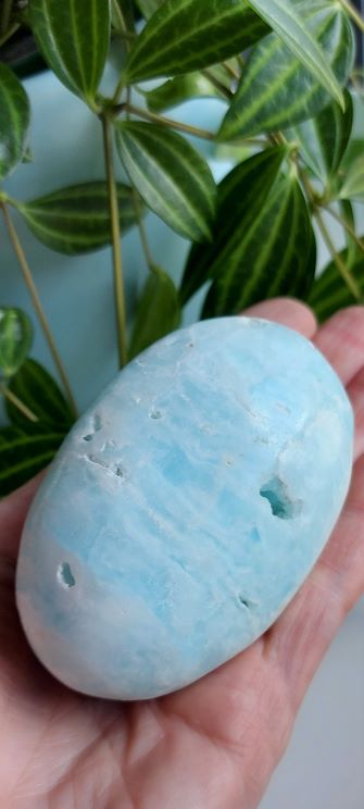 caribbean calcite palm stone