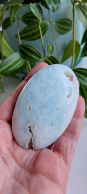 caribbean calcite palm stone