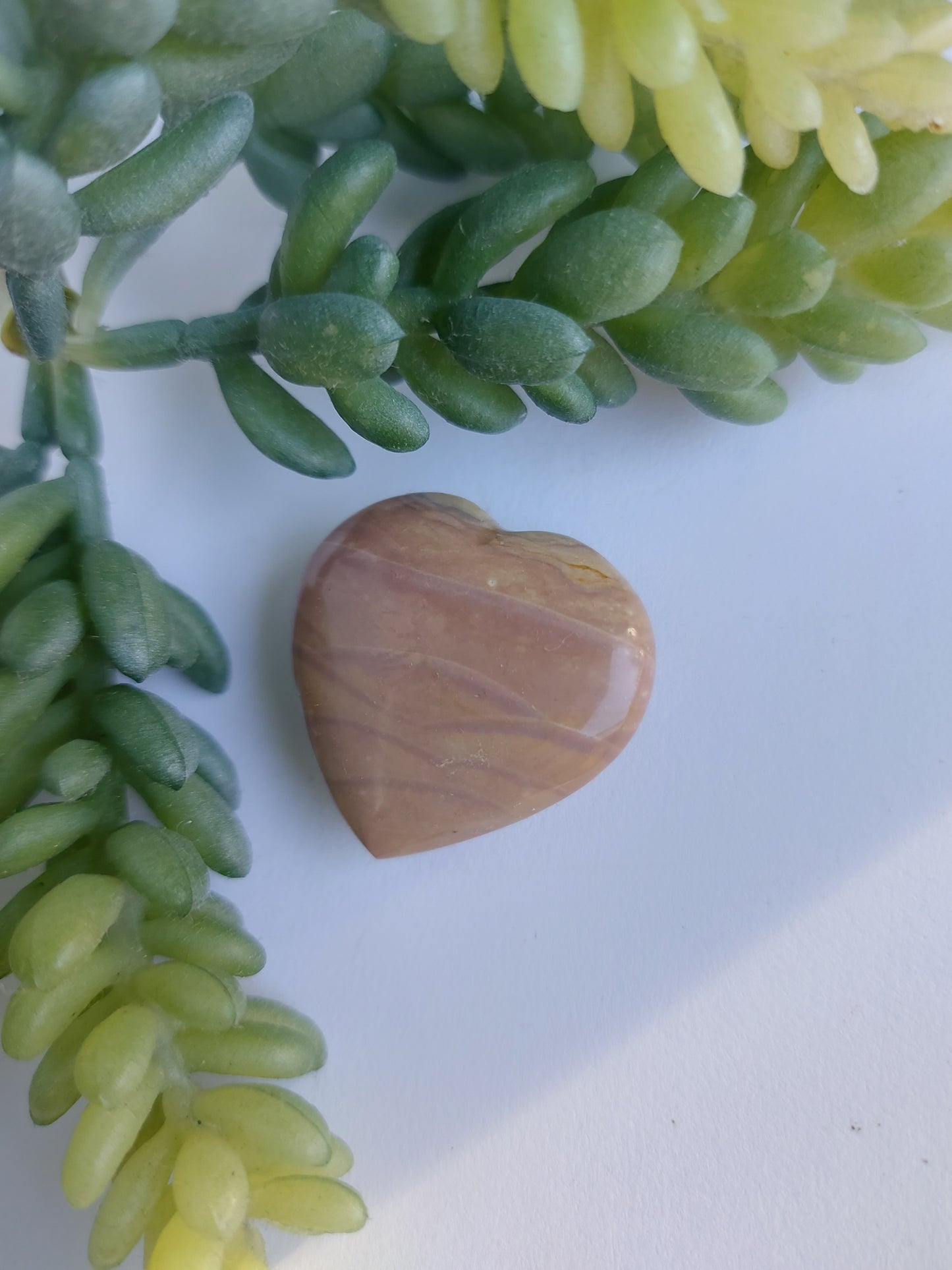 petrified wood heart