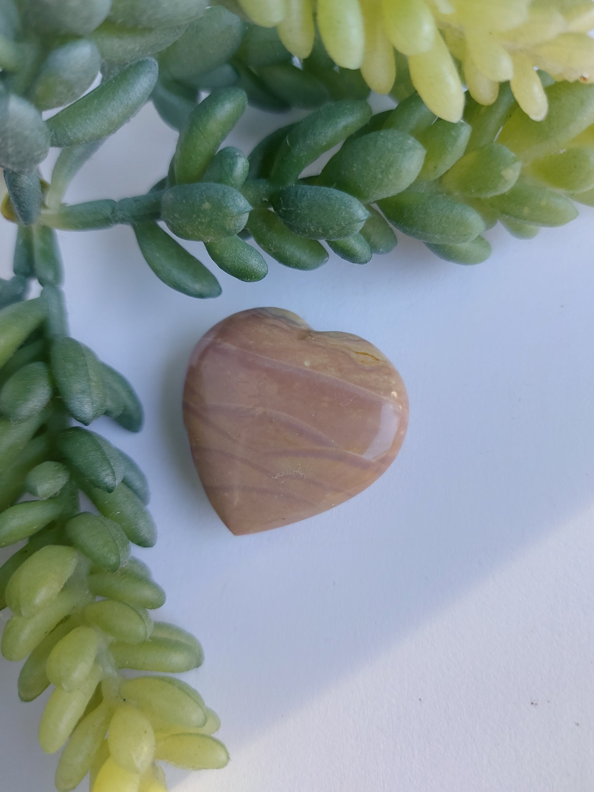 petrified wood heart