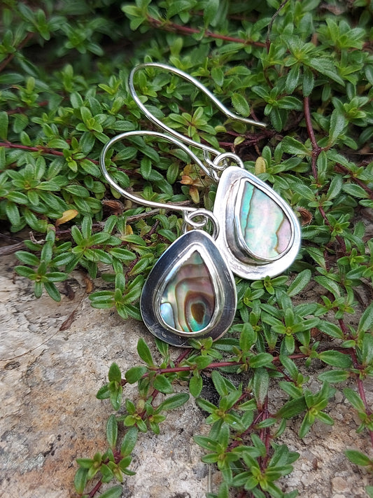 Abalone Dangle earrings